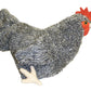 Adore 12' Standing Roxy The Hen Chicken Plush Stuffed Animal Toy