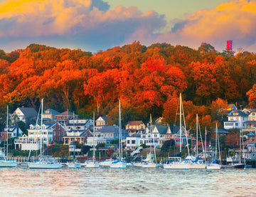 Springboks Harbor in The Fall 500 Piece Puzzle for Adults Shows The Beauty of This Northeastern Habor in Fall Colors