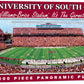 South Carolina Panoramic 1000 Pc