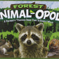 Late for the Sky Forest Animal-opoly Board Game - Cardboard, Green and Brown, Model 5514849
