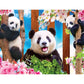 Roseart - Kodak Premium - Panda Playtime - 100 Piece Jigsaw Puzzle For Adults
