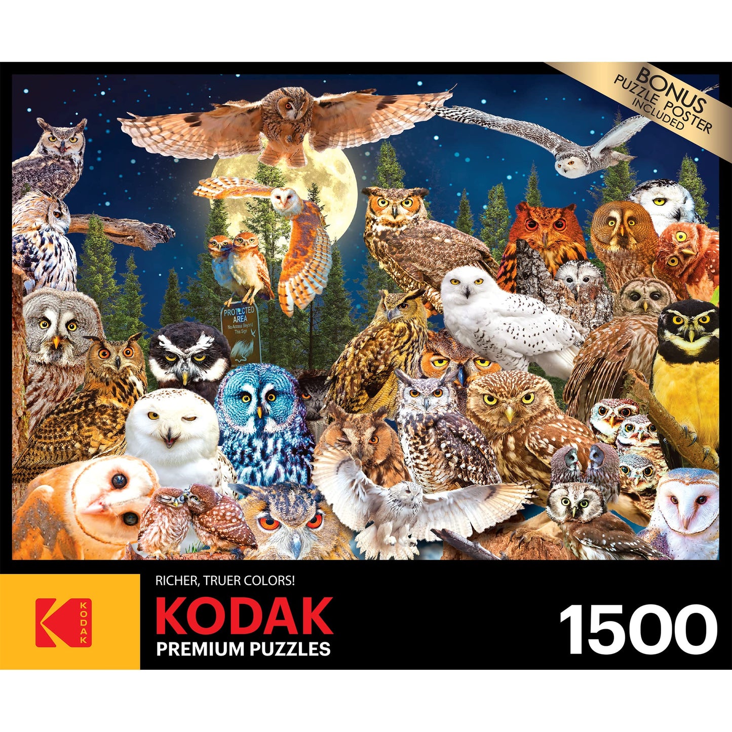 Roseart - Kodak Premium - Night Owls - 1500 Piece Jigsaw Puzzle For Adults