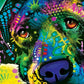 Masterpieces 300 Piece EZ Grip Jigsaw Puzzle - Cold Wet Nose - 18x24