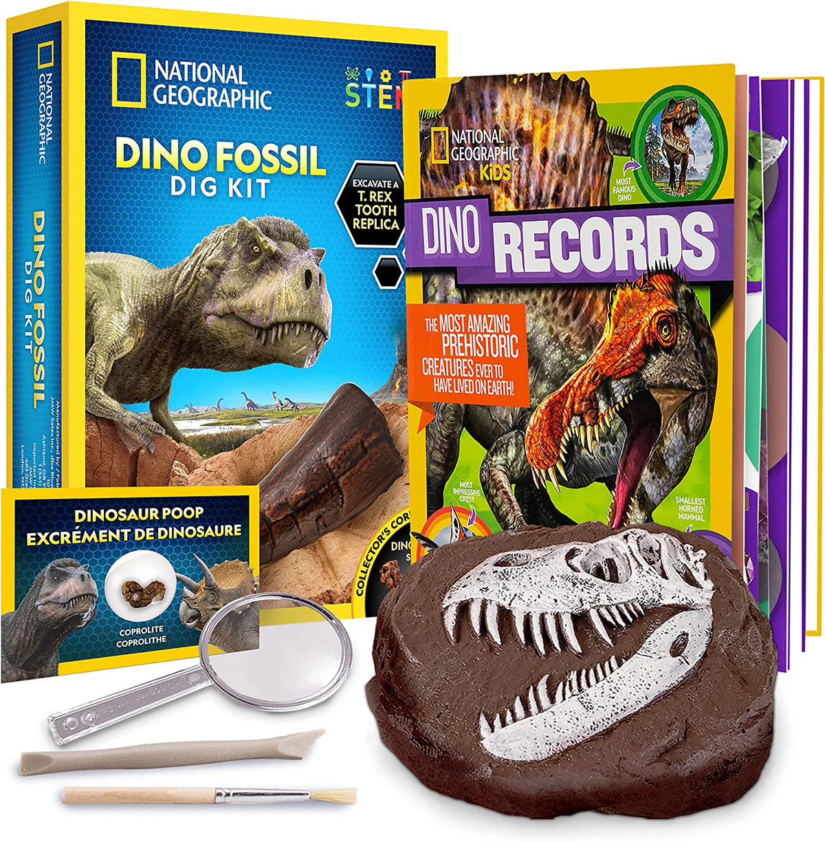 Prehistoric Paleontologist Mining