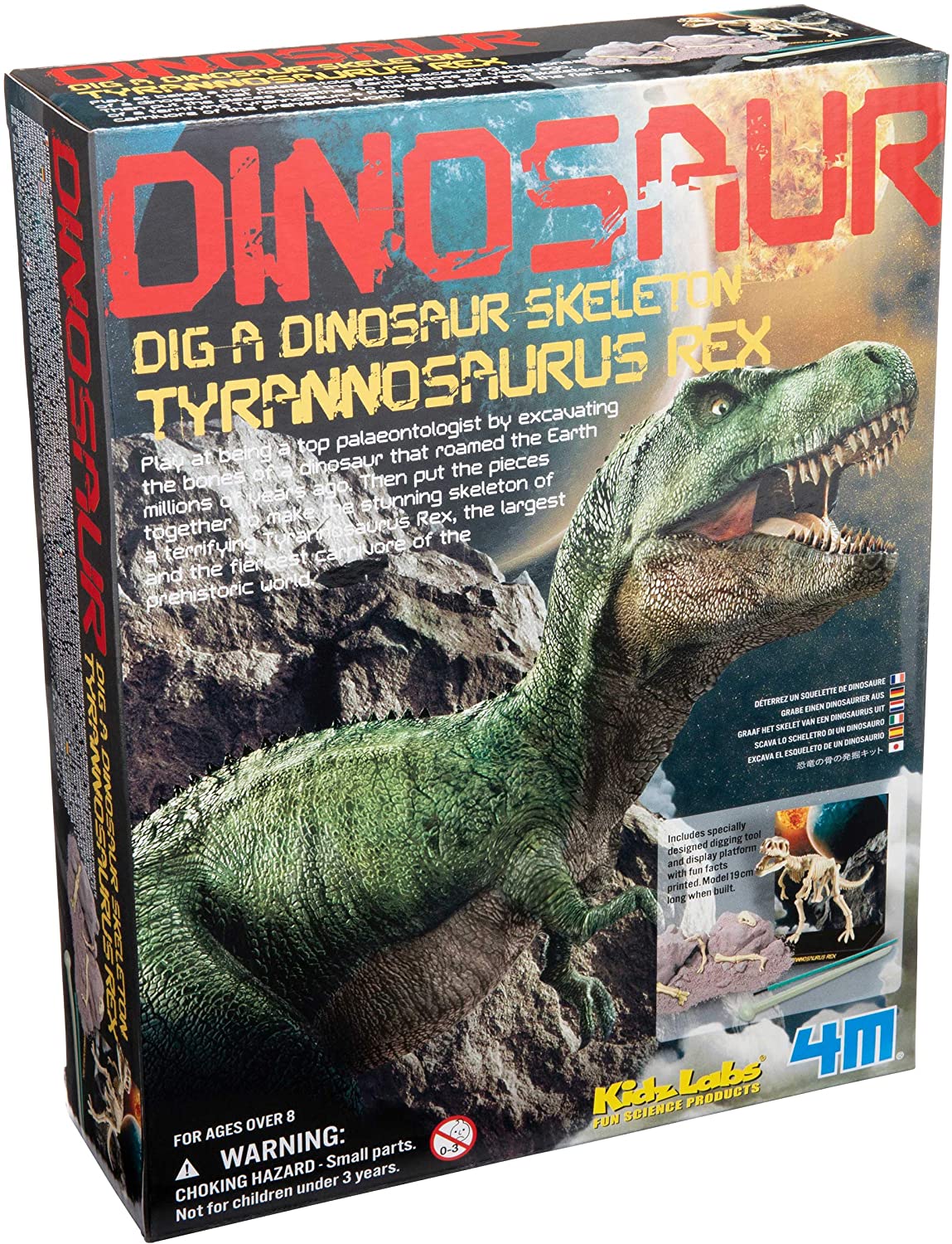 Young Paleontologists Excavation