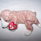Ty Beanie Baby - Sniffer The Dog [Toy]