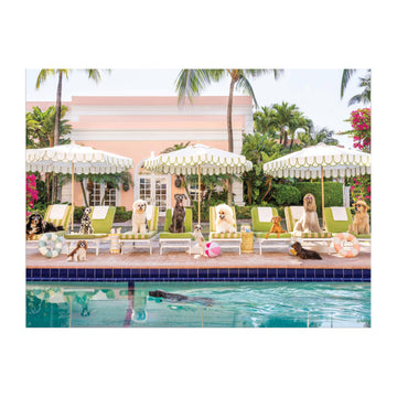 Galison Gray Malin Palm Beach - 1000 Piece Book Box Puzzle With Glamorous Palm Beach Dogs Photography Packaged In Magnetic Keeps