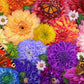 Ceaco - Flower Spectrum - 300 Oversized Piece Jigsaw Puzzle