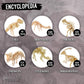 3D Wooden Dinosaurs Bundle Pack Puzzle