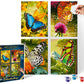 NORRIS Paint by#S: Butterflies (Quattro) Paint by#