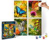 NORRIS Paint by#S: Butterflies (Quattro) Paint by#
