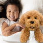 Aurora Super Soft Plush Dog Toy - Cream Labrador Puppy, 13 Inches, Cuddly Companion for Kids & Adults, Perfect for Grandparents