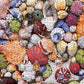 Colorful Seashell Puzzle for mature-themed 1000 Piece  Ocean Beach Puzzle 1000 Pieces for mature-themed  Marine Jigsaw Puzzles Hawaii 1000 Piece for mature-themed