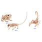 MINI SKELETON ASSORTD (Pack of 12)