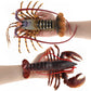 Cross-border toy marine life simulation lobster marine animal model submarine toy doll decoration plastic
