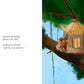 Frog: Disappears!, Book Four