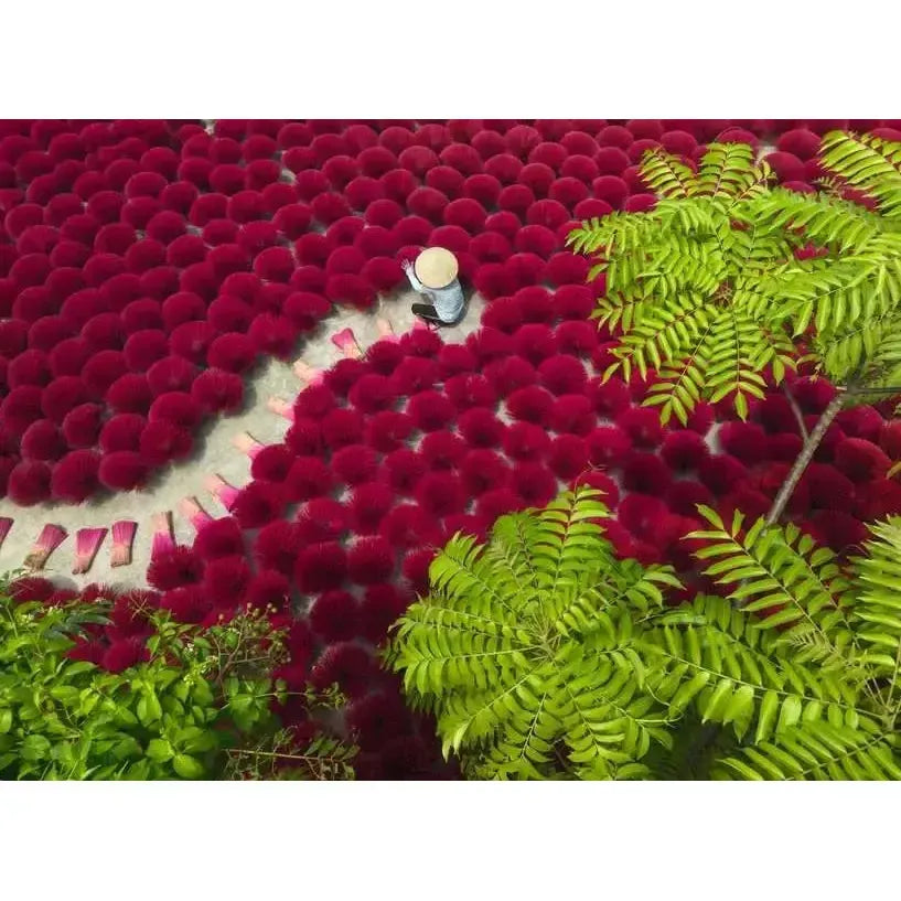 A Sea of Red 500 Piece Jigsaw Puzzle Ravensburger
