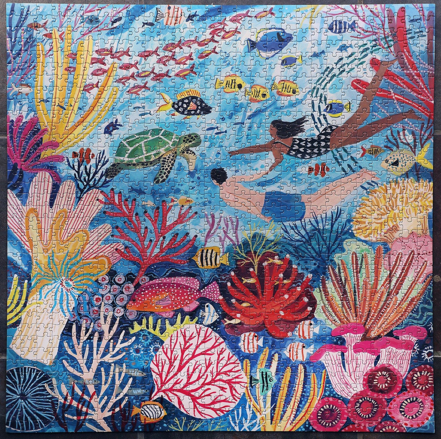 eeBoo 1000 Piece Coral Reef Jigsaw Puzzle for Adults & Families, Glossy Cardboard, Sturdy Pieces, Minimal Dust, Model 0689196510410