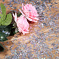 HESTYA 60g Star Confetti Glitter Star Table Confetti Metallic Foil Stars for Party Wedding Festival Decorations (Glitter Silver,