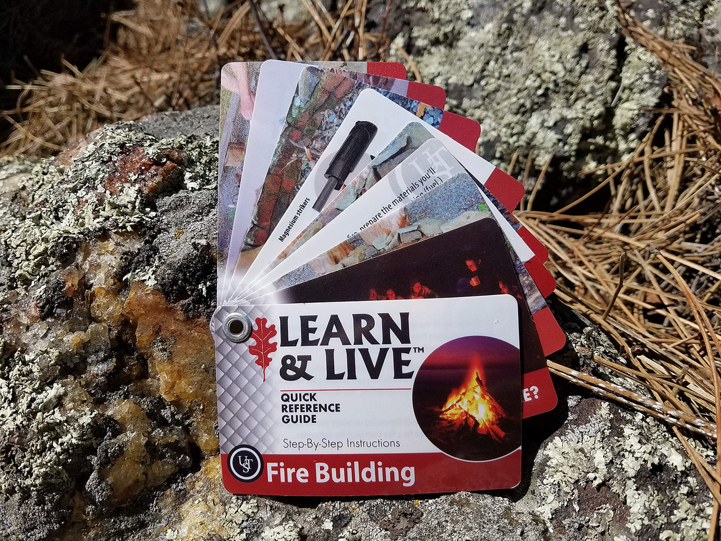 Ust Learn & Live Educational Card Set, Animal Tracking