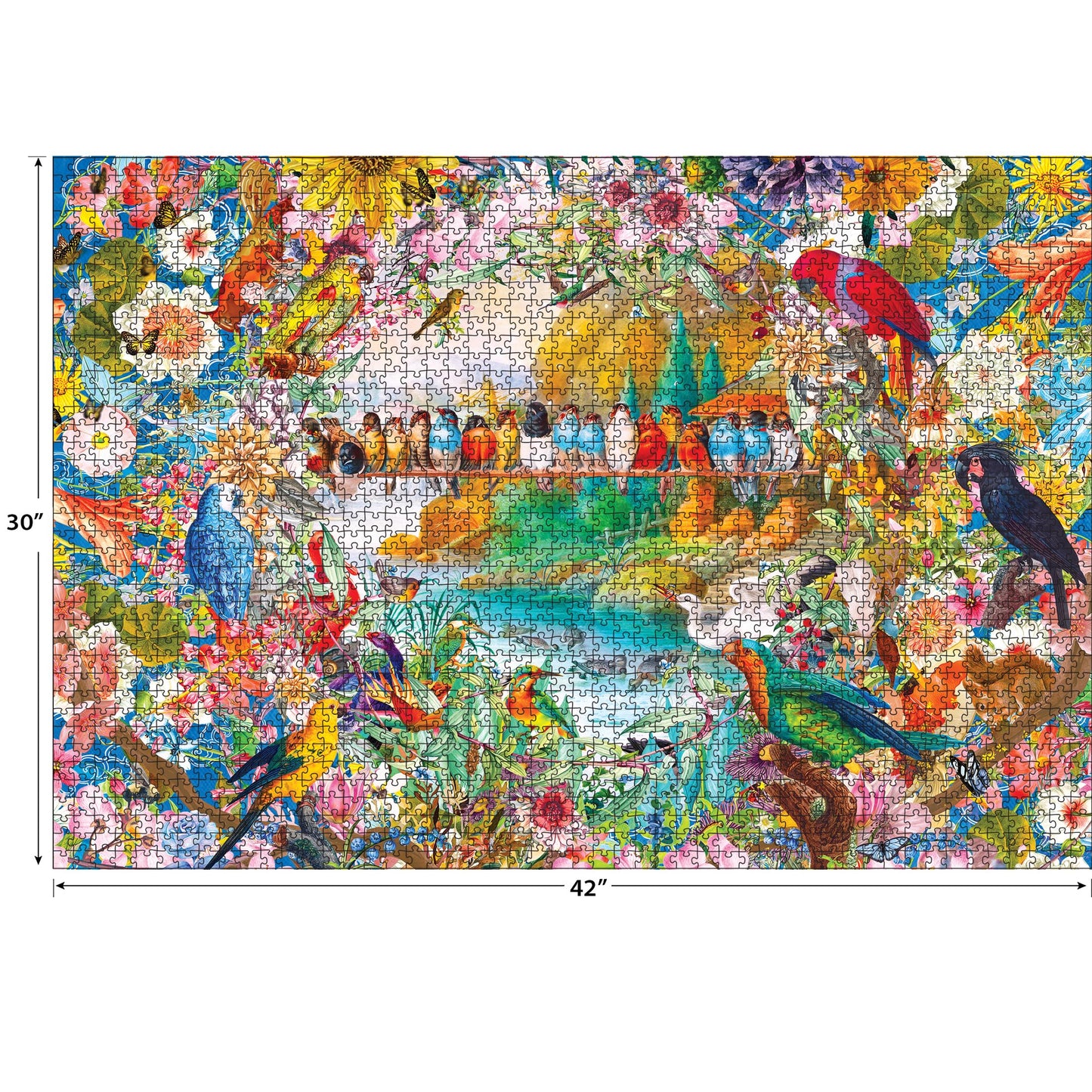 RoseArt 3000 Piece Jigsaw Puzzle - Kodak Premium Birdsong - Multicolor Cardboard Model 8150ZZS for Adults