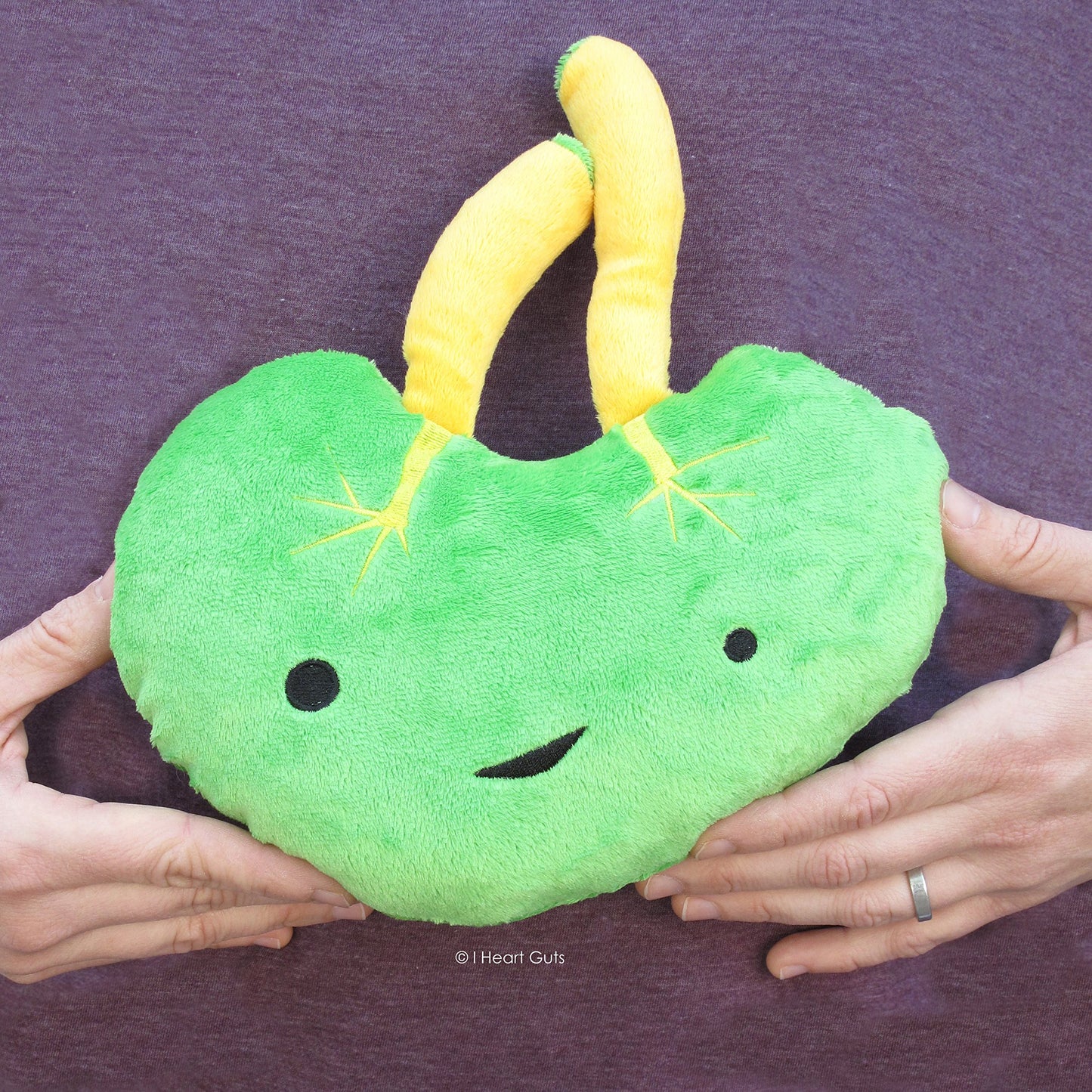 I Heart Guts Spleen Plush - Lymphin The Dream - 9 Immune System Stuffed Organ Toy for Spleen Removal, Splenectomy Recovery, Aut