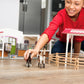 Schleich Horse Club, 44-Piece Playset, Horse Toys For Girls And Boys 5-12 Years Old Riding Center With Rider And Horses