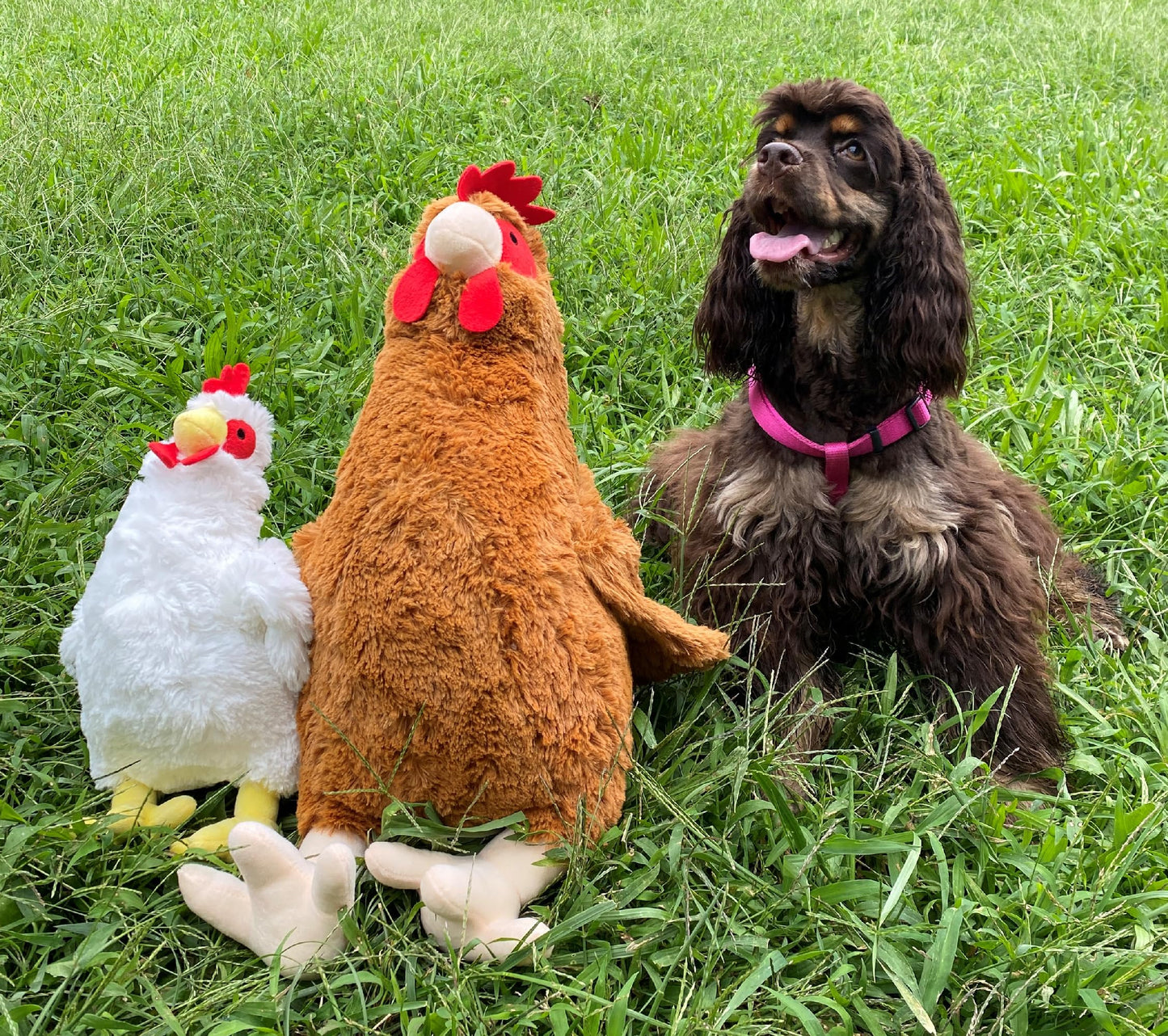 Hdp Rooster Size:12 Inch Color:Brown Rooster