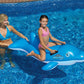 Swimline Dolphin Stable Pool Float