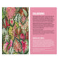 Galison Houseplant Jungle Multi Puzzle Set From Galison - Includes Three 250 Piece Puzzles Featuring Botanical Photographs From