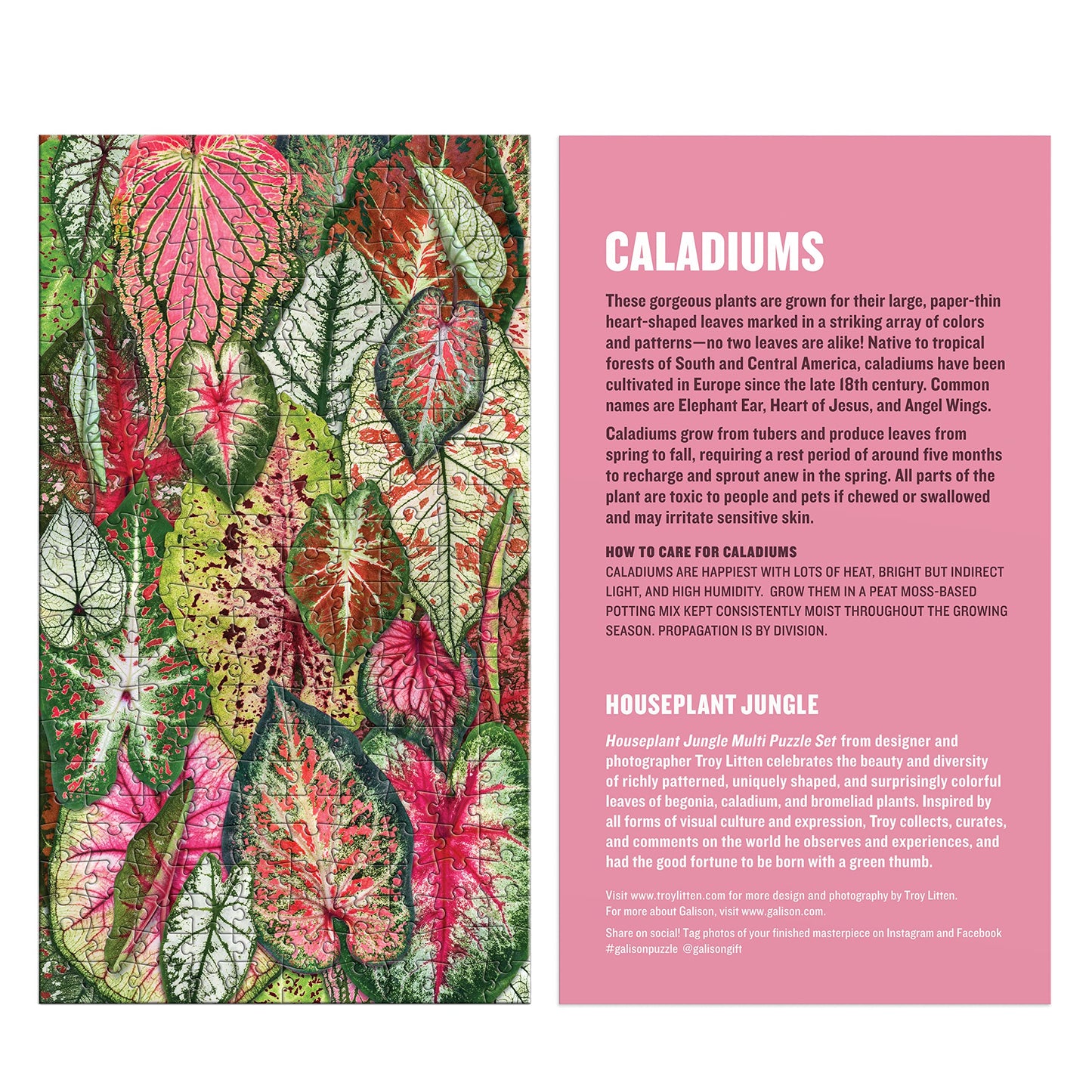 Galison Houseplant Jungle Multi Puzzle Set From Galison - Includes Three 250 Piece Puzzles Featuring Botanical Photographs From
