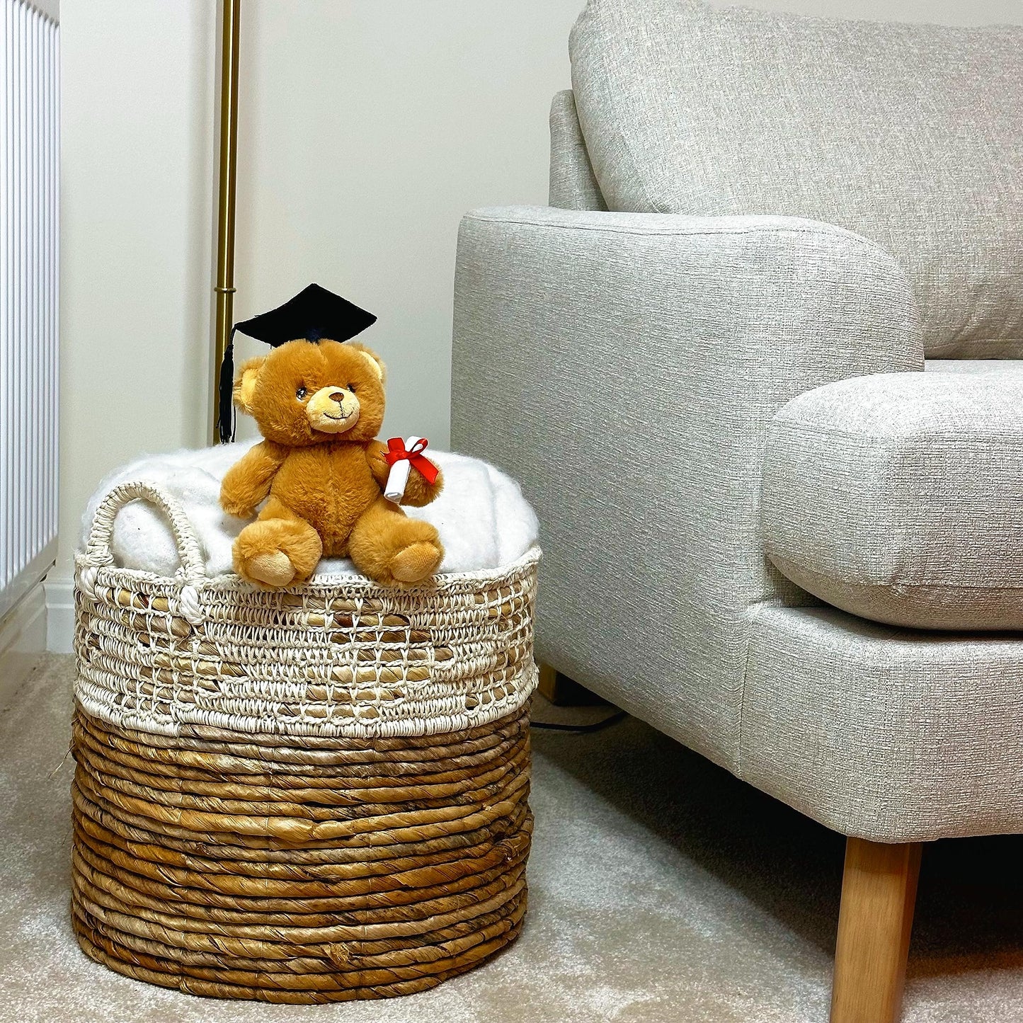 Deluxe Paws Eco Plush Special Occasions, 100% Recycled - Graduation
