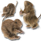 Prextex Realistic Furry Fake Rats For Best Halloween Decoration: Halloween Fake Rats, Realistic Rats, Halloween Trick Toys Decoration, Party Props Etc.