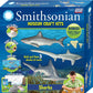Smithsonian Sharks Craft Kit