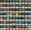 MTG Decks & More Elite Werewolf Commander Deck - Tovolar - EDH - 100 Cards - Red/Green Cardstock Magic The Gathering