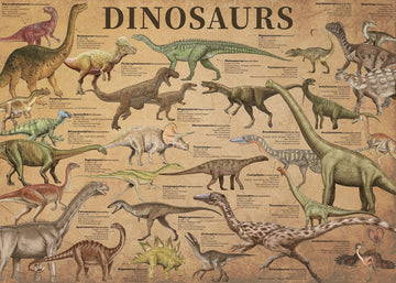 Dinosaur Puzzle 1000 Pieces For Adult, Vintage Jigsaw Puzzles Includes Major Dinosaur Groups, Animal Puzzle As Souvenir