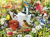 Ceaco Garden Birds 500 Piece Jigsaw Puzzle, Multicolor, 24 x 18, Cardboard, Model 2415-5
