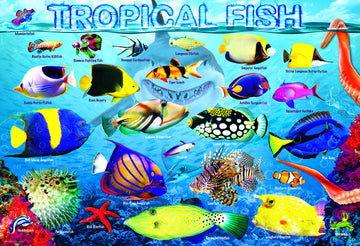 Eurographics Tropical Fish 100Piece Puzzle, Multi-Colored