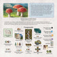Aeg Undergrove | Tile Placement And Pick-Up And Deliver Board Game | Trade Nutrients With Fungi To Grow New Trees | 1-4 Players