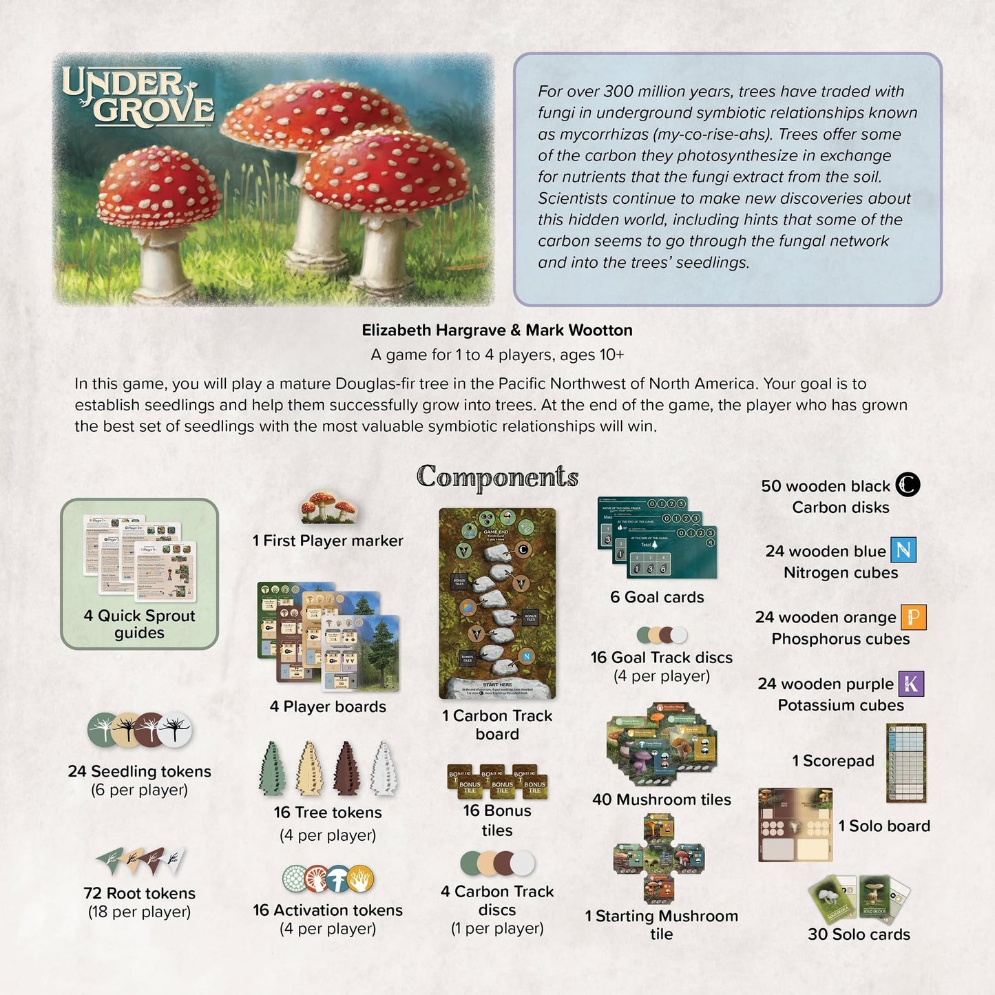 Aeg Undergrove | Tile Placement And Pick-Up And Deliver Board Game | Trade Nutrients With Fungi To Grow New Trees | 1-4 Players