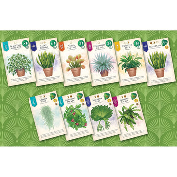 Aeg & Flatout Games | Verdant - A Board Game For The Houseplant Collector | From The Creators Of Cascadia | Easy To Learn | Quick To Play | Ages 10+ | 1-5 Players