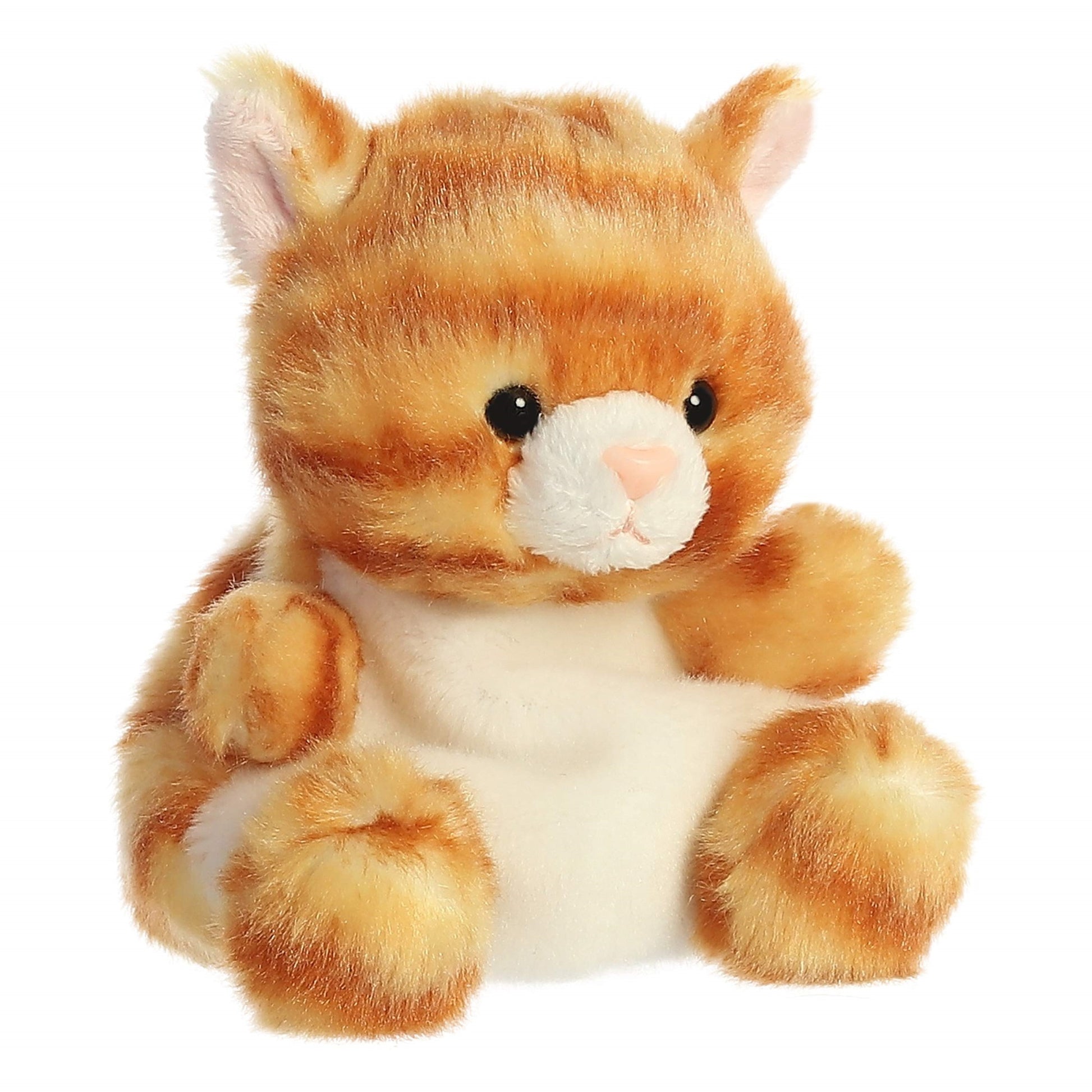Aurora - Palm Pals - 5 Meow Kitty