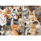 All the Cats 500 Piece Jigsaw Puzzle Peter Pauper