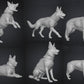 Police/Military Dogs - 28mm (SLA003)