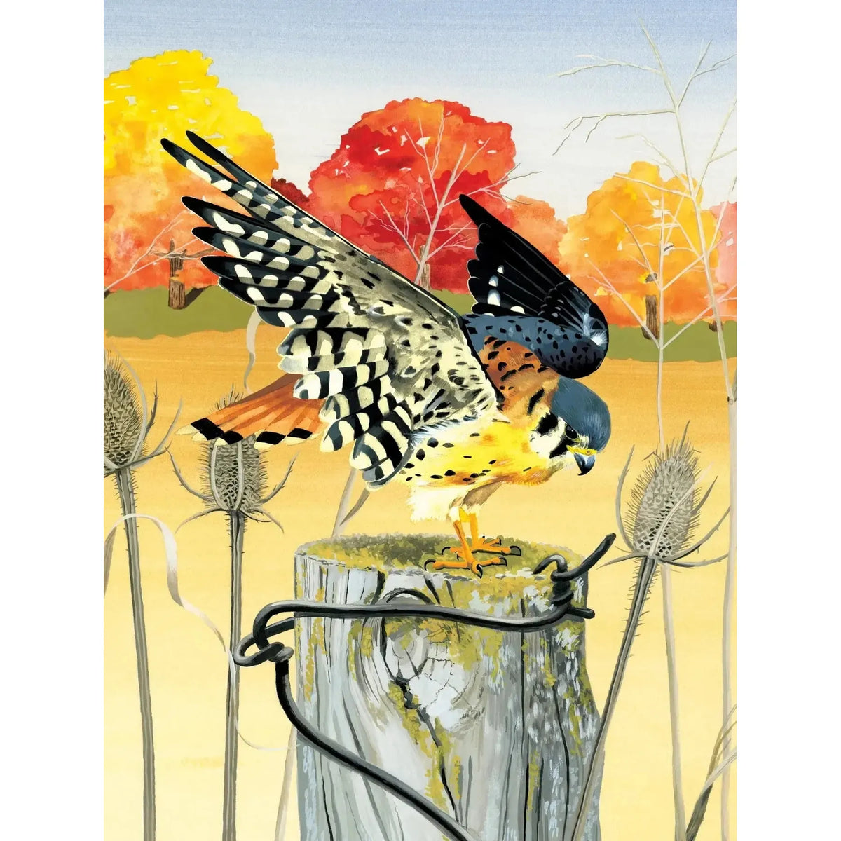 American Kestrel 1000 Piece Jigsaw Puzzle NYPC