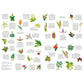 Around the World in 50 Orchids 1000 Piece Jigsaw Puzzle Laurence King