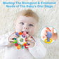 Montessori Sensory Teething Toy for Babies - Tiny Hands Big Discoveries :)
