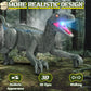 Roar Into Adventure Remote Control Dinosaur Robot Toy with Lights and Sounds