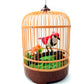 Singing & Chirping Bird In Cage - Realistic Sounds & Movements (Red)