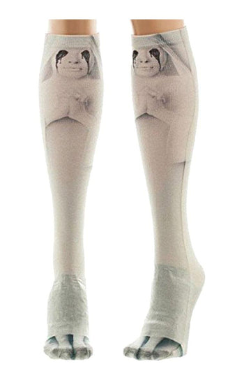 American Horror Story: Asylum Women'S Knee High Socks